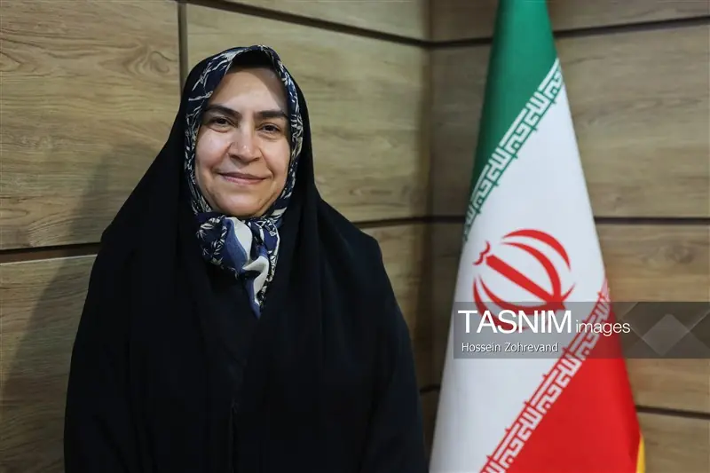 مقصودی: قانون مقابله با نفوذ بیگانگان، سدی دربرابر پروژههای نفوذ است - تسنیم