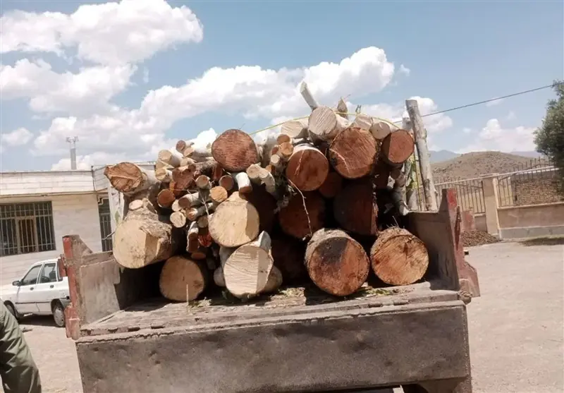 برخورد قانونی با هرگونه قاچاق چوب در مازندران - تسنیم