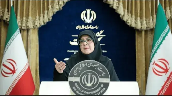 توضیح سخنگوی دولت درباره گرانی ها، سوخت، جنگ و ...