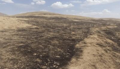 مهار آتشسوزی در مراتع روستای نورآباد شازند | آخرین خبر