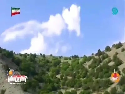  تصاویری زیبا از لانه گربه پالاس و توله‌هایش | آخرین خبر