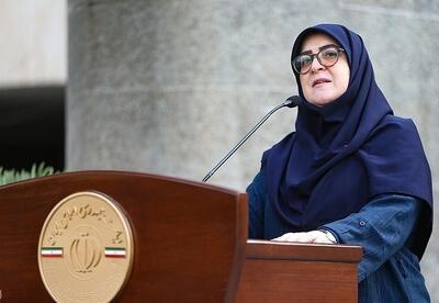 مهاجرانی: بررسی طرح دورکاری برخی ادارات در فصل زمستان