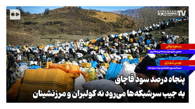  ۵۰ درصد سود قاچاق به جیب سرشبکه‌ها می‌رود نه کولبران و مرزنشینان