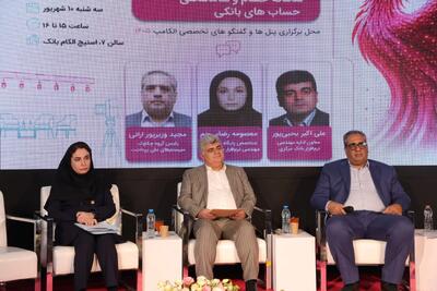تعیین تکلیف حسابهای بانکی مازاد با «حسام»