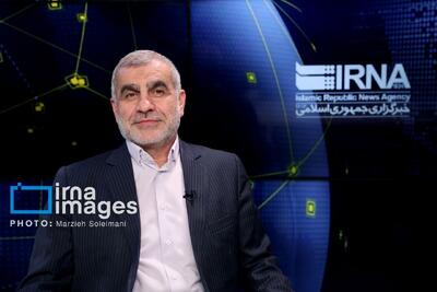 نائب رئیس مجلس: حمایت از تولید جزو برنامههای راهبردی مسوولان ملی است