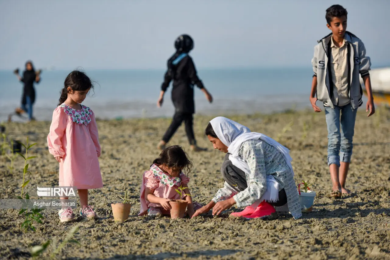 از قصه حرا تا نوروز دریا؛ قشم در مسیر احیای میراث طبیعی و فرهنگی خلیج فارس