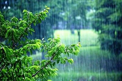 تدوام بارندگی در گیلان تا پنجشنبه/ افزایش ۳ تا ۵ درجهای دما تا شنبه