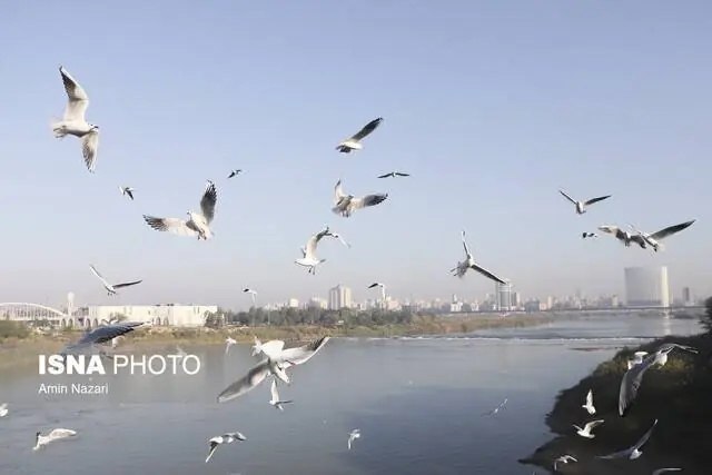  هوای «قابل قبول» در ۱۱ شهر خوزستان
