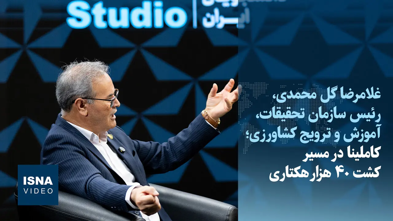ویدیو/ آزمایش برنجهای ۱۲ تنی در ایران؛ کاملینا در مسیر کشت ۴۰ هزار هکتاری