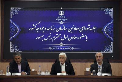  عارف: باید مطالبه رئیس‌جمهوری برای افزایش مبلغ کالابرگ را محقق کنیم