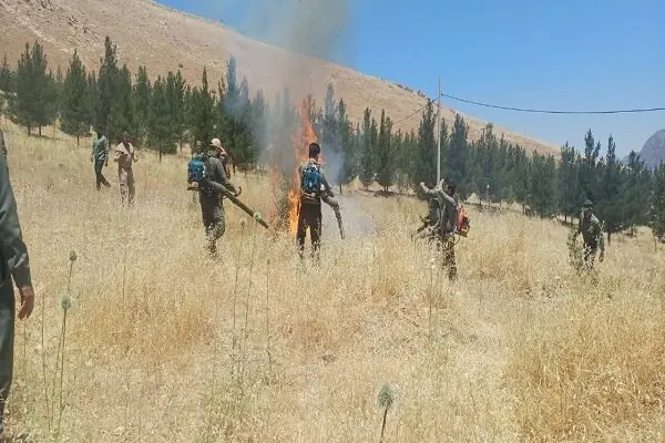 حریق در ارتفاعات خوشییلاق شاهرود با تلاش نیروهای امدادی مهار شد