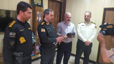نجات دو پرنده در دیواندره