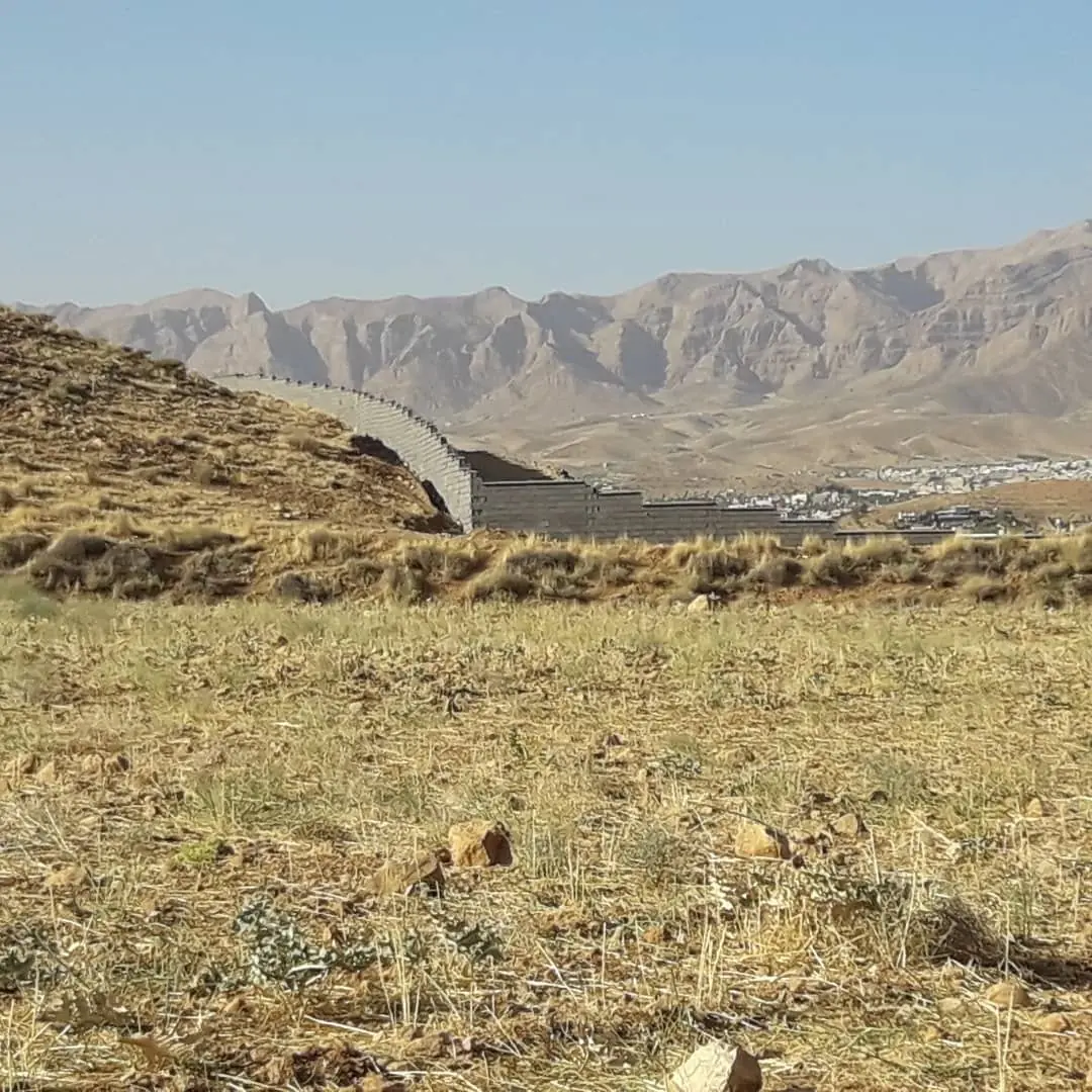  سرخدار در زمین غریب