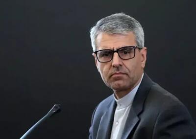 بقایی: دیپلماسی عمومی باید بتواند سخن ایران را آنگونه که هست، به گوش جهانیان برساند