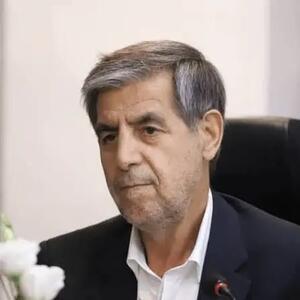 صدیقی: ابلاغ سهمیه و تخصیص اعتبار وام اشتغال باید همزمان انجام شود