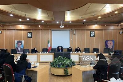 نگاه سنتی به نقش زنان در خدمترسانی باید تغییر کند - تسنیم