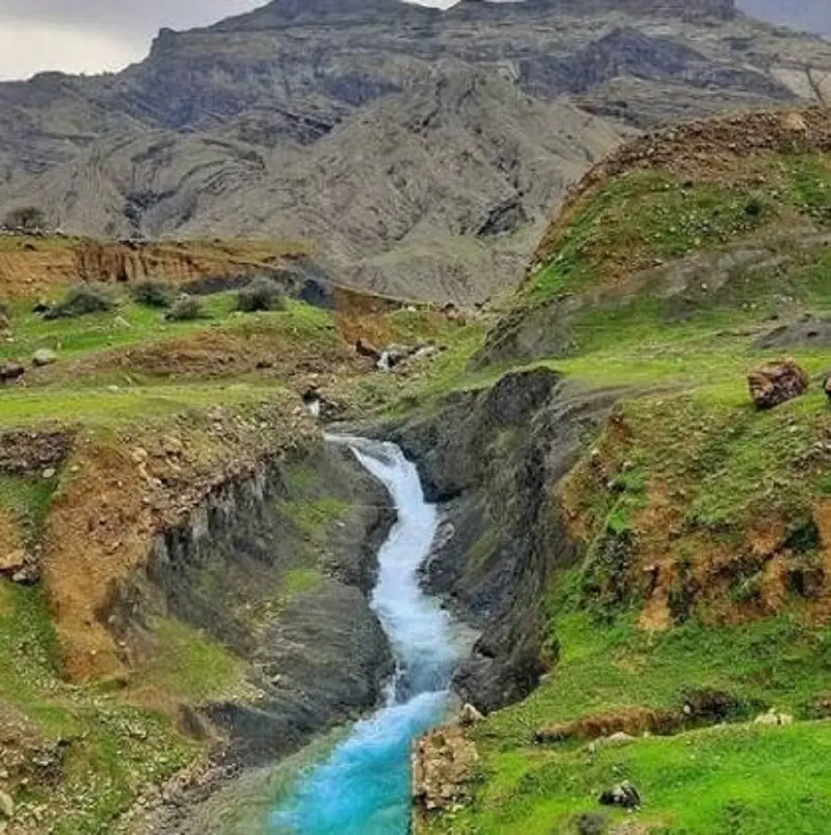 چشمه تووه در شمار مهمترین زیستگاههای زیرزمینی جهان قرار گرفت