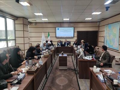 معاون وزیر ورزش و جوانان: مدیریت محلهمحور با محوریت سلامت و ورزش به الگوی مشارکت اجتماعی تبدیل شود