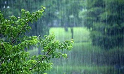  توصیه کارشناس هواشناسی به کشاورزان برای ۴ روز آینده