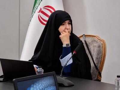  روایت شادمهری از ۴ سال دیپلماسی فرهنگی در فرانسه؛ «هنر» تصویر ایران را تغییر داد