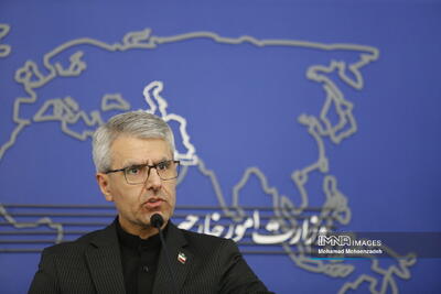  بقائی: هر روز بر سیاهه جنایات آمریکا علیه مردم ایران افزوده می‌شود