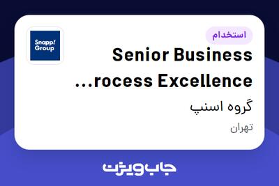 استخدام Senior Business Process Excellence Specialist در گروه اسنپ