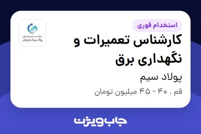استخدام کارشناس تعمیرات و نگهداری برق - آقا در پولاد سیم