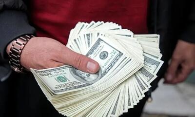  ۴۴ نفر در پرونده‌های رفع تعهدات ارزی بازداشت شدند/ اکنون ۸.۵ میلیارد یورو رفع تعهد ارزی صورت گرفته است