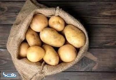  ۲۰ هزار تن سیب‌زمینی برای تنظیم بازار راهی بازار می‌شود | نفت ما