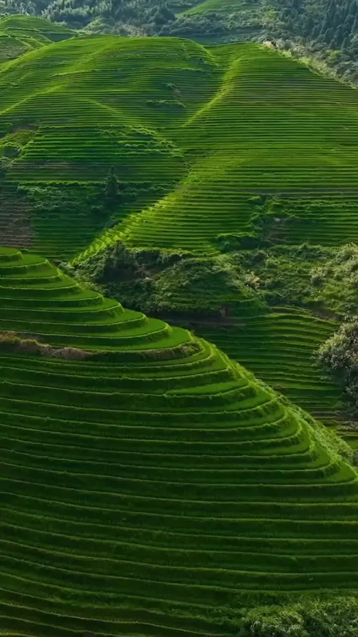  فیلم از منظره شگفت‌ انگیز در چین