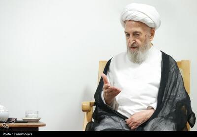 آیتالله سبحانی: ولادت پیامبر(ص) نوری بود که جهان بشریت را روشن کرد - تسنیم