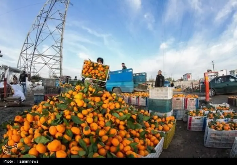 صادرات 34 میلیون دلاری تعاونیهای گلستان - تسنیم