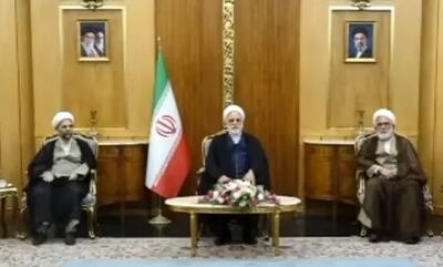 اظهارات قاضیالقضات پیش از سفر به هند: امیدوارم در این سفر بتوانم صدای مردم غیور و شجاع ایران باشم | آخرین خبر