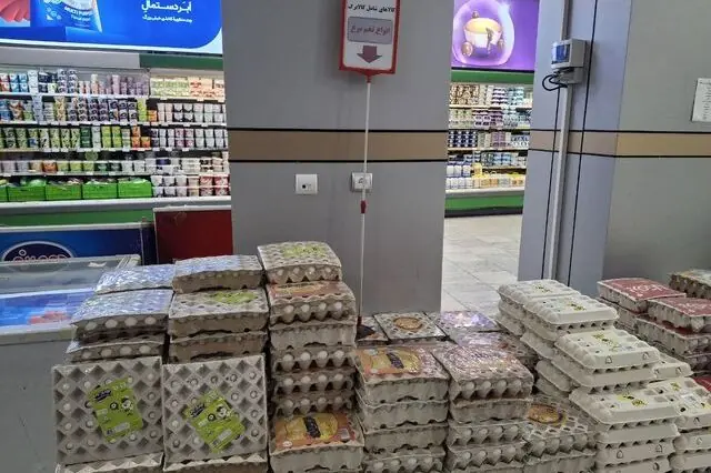  قیمت واقعی تخم‌مرغ برای مصرف‌کننده چقدر است؟ / نرخ کیلویی ۳۳۳ هزار تومان در صورت اعمال حاشیه ۲۳ درصدی