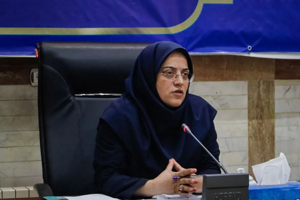 مدیرکل دفتر صادرات گمرک: گمرک خود را متعهد به حفظ و تقویت جریان تجارت و صادرات میداند