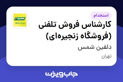 استخدام کارشناس فروش تلفنی (فروشگاه زنجیرهای) در دلفین شمس