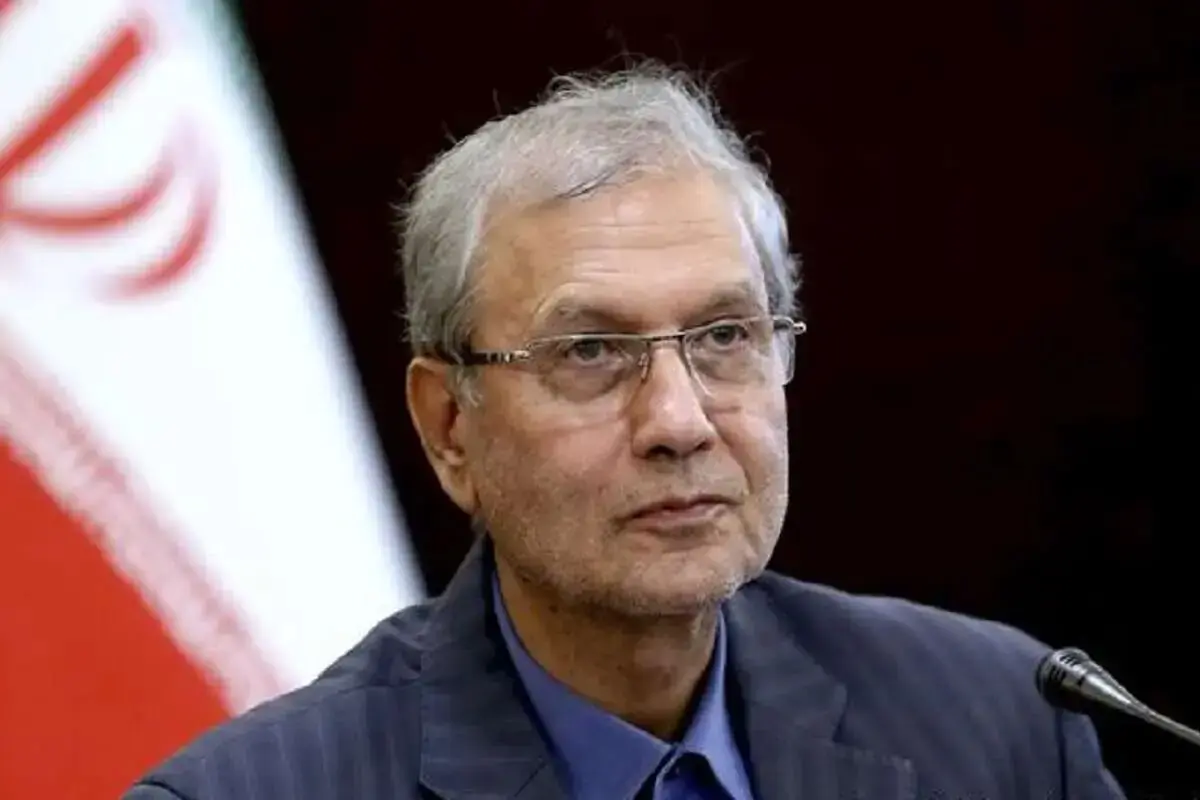  ربیعی: منظور از «تاب آوری» فقط معیشت نیست