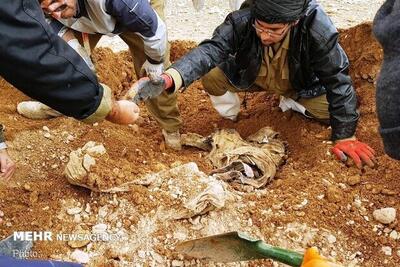 تفحص و کشف پیکر مطهر ۲ شهید دفاع مقدس در منطقه عملیاتی چیلات ایلام