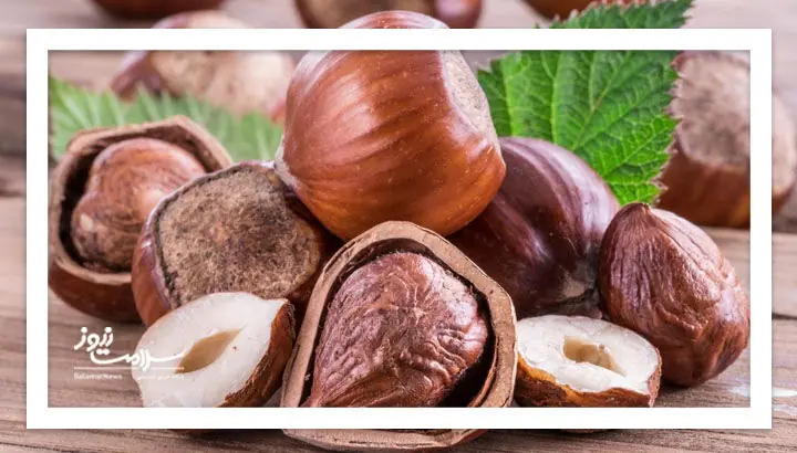 برای کاهش کلسترول فندق بهتر است یا بادامزمینی؟