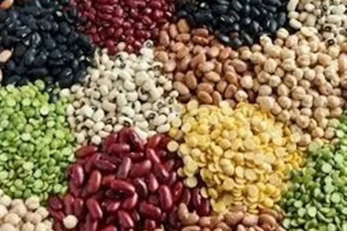  ثبت سفارش حبوبات باز شد