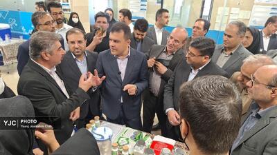 زنجیره ارزش هر استان باید متناسب با ظرفیتهای بومی شکل بگیرد