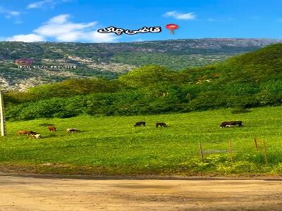 روستای قاضی چاک اشکور | آخرین خبر