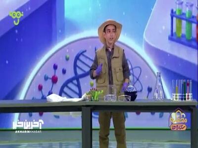 خمیر دندون برای فیل ها! | آخرین خبر