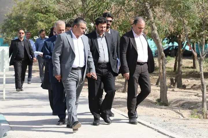 جبران کمبود سرانه فضای سبز مناطق کمبرخوردار در پروژههای «مدرسه شهر»