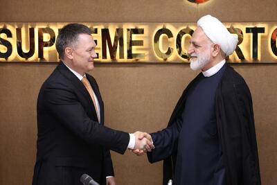 کراسنوف با محسنی اژه ای دیدار کرد/ تجلیل عالیترین مقام قضایی روسیه از مقاومت ملت ایران