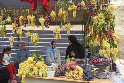جشنواره انگور در ارومیه برگزار میشود