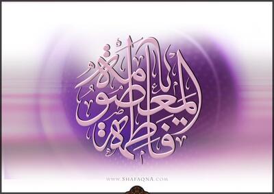  حضرت معصومه (س) باید الگوی عینی و عملی برای جامعه باشد/ معرفی الگوهای دینی نباید محدود به مناسبت ها شود؛ فلاحی در گفت وگو با شفقنا