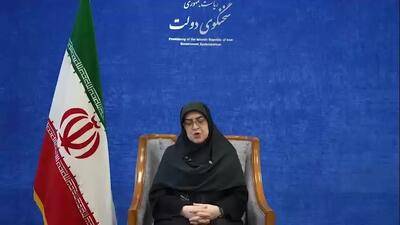  توضیحات سخنگوی دولت درباره حوادث دی ماه