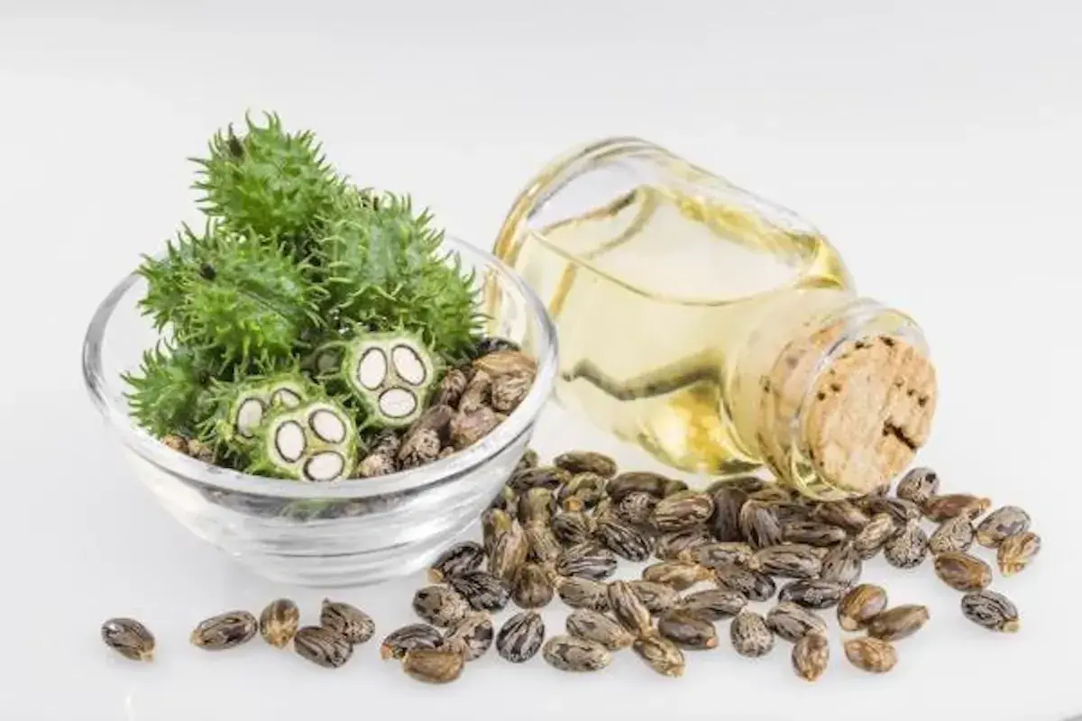 فواید روغن کرچک برای مو