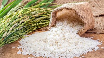 چگونه غذای اصلی جهان متان تولید میکند؟